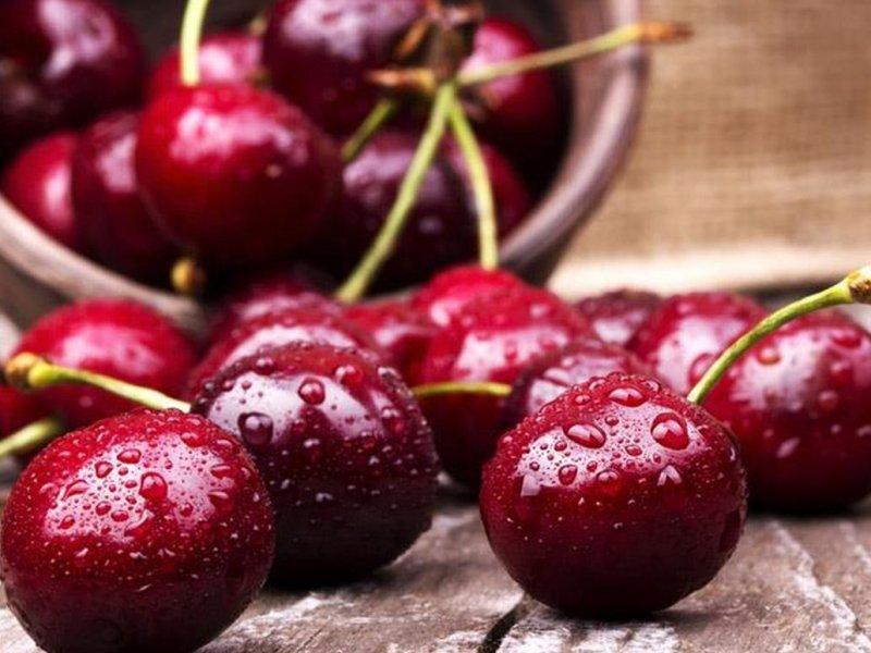 Вишня купить саженцы из питомника в Курганинске
